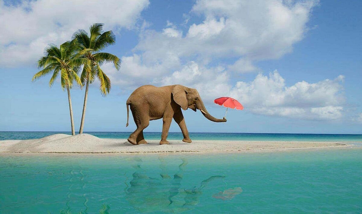 Playa Elefante, Isla Havelock, Andaman