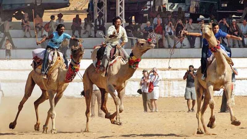 Carrera de camellos en Pushkar Fair