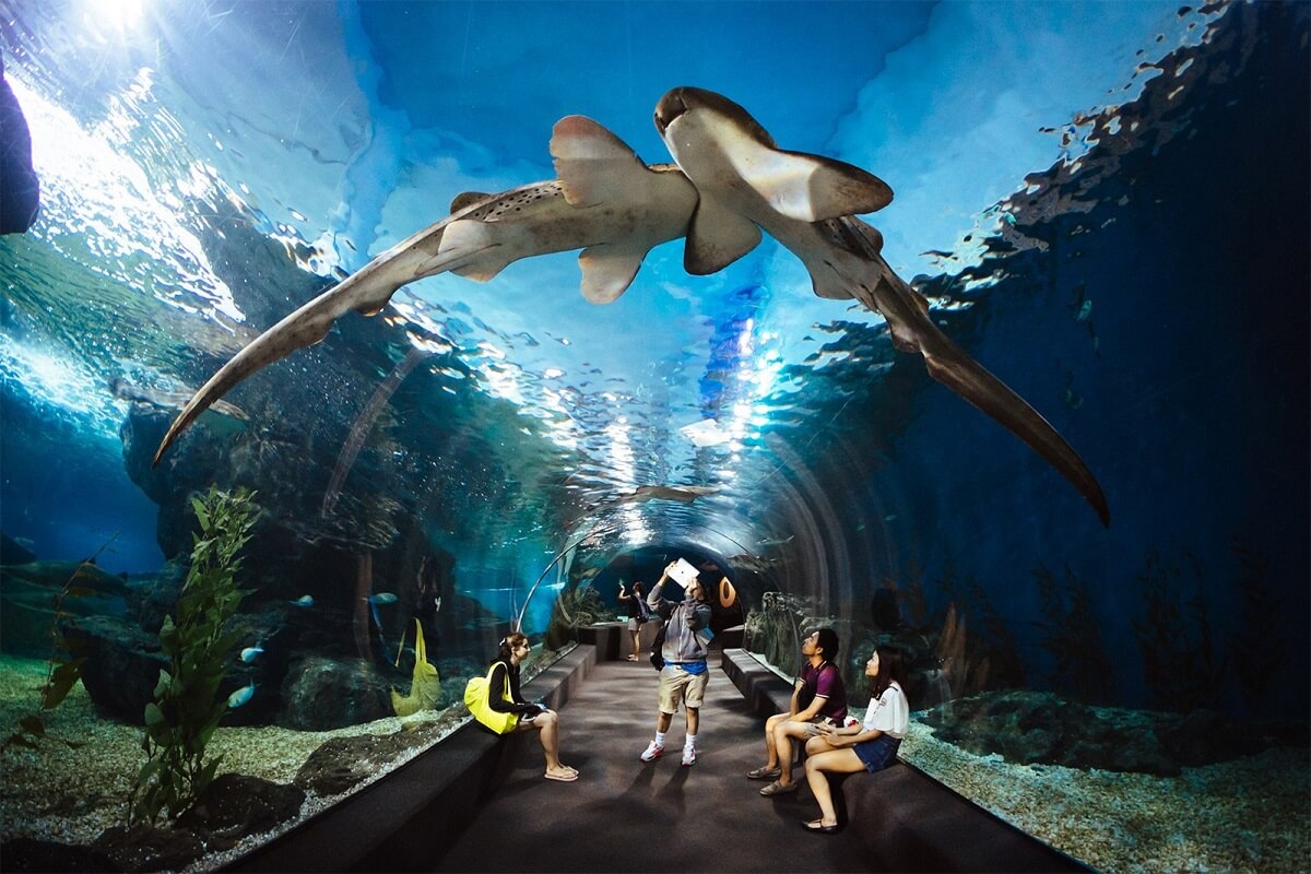 Bangkok Ocean World Thailand