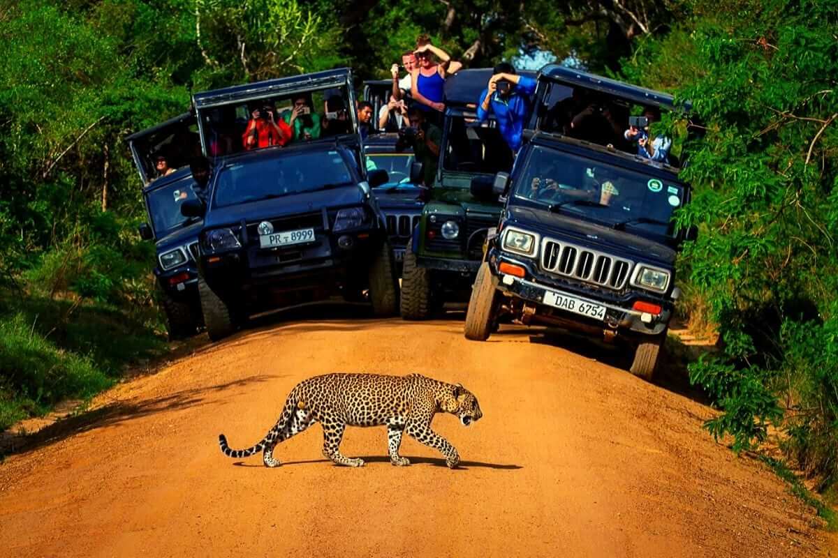 Parque Nacional Yala, Sri Lanka5