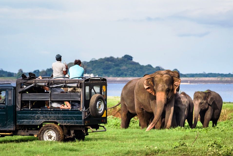 Sri Lanka en enero: mejores lugares para visitar