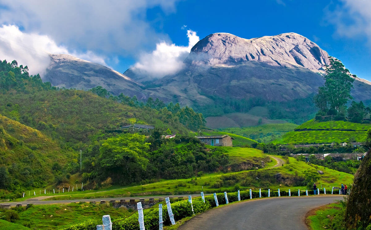 Munnar, Kerala