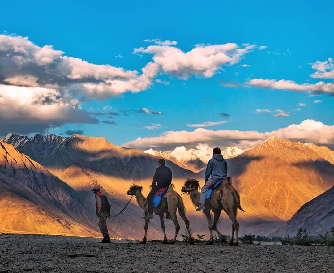 Safari en camello en el valle de Nubra, Ladakh