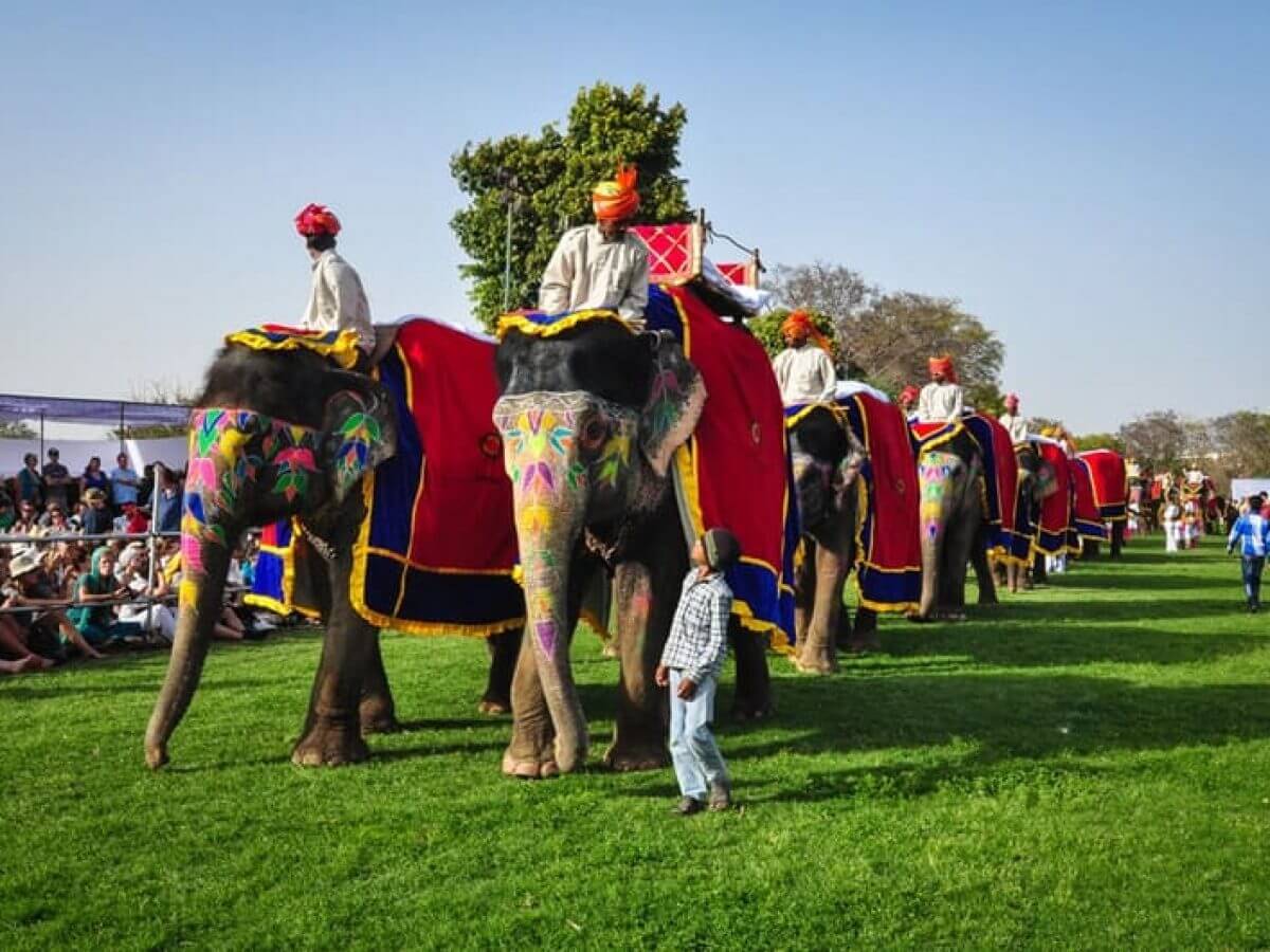 Festival de Elefantes, rajastán