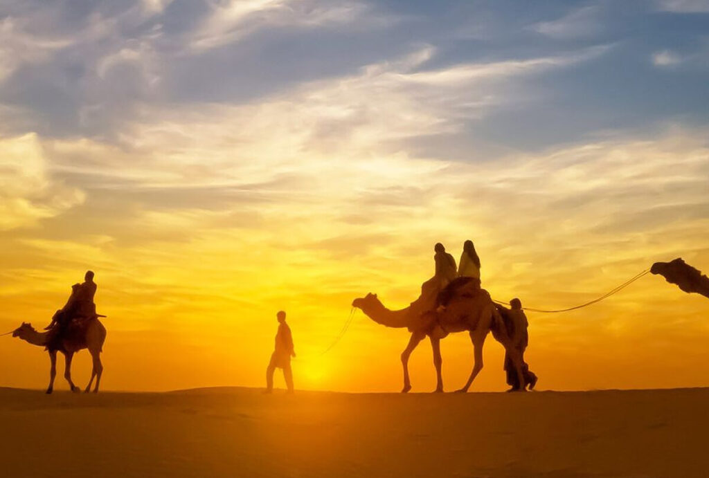 Camel Safari at sunset, Pushkar, Rajasthan