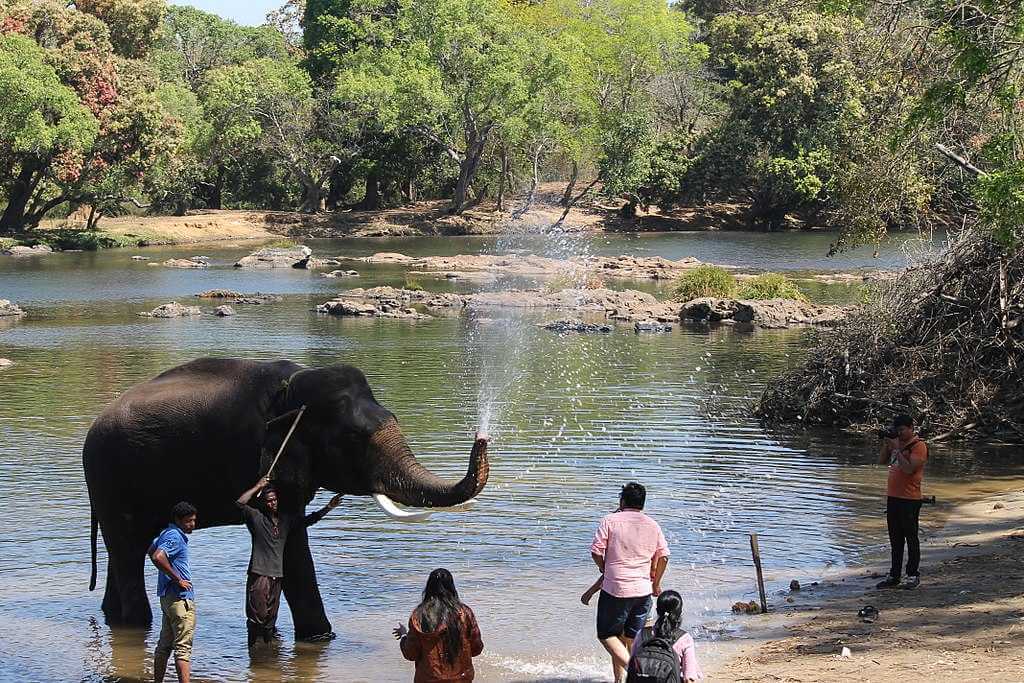 Campamento de elefantes Dubare Coorg Karnataka