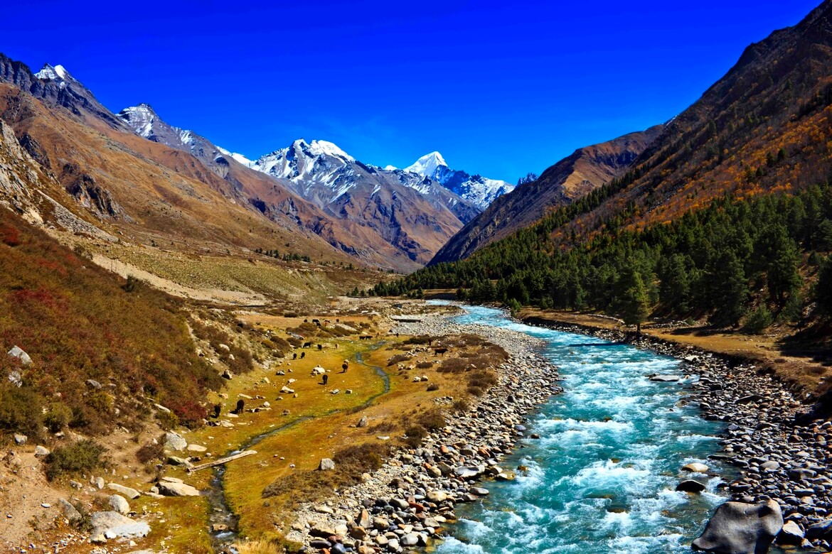 Chitkul Himachal