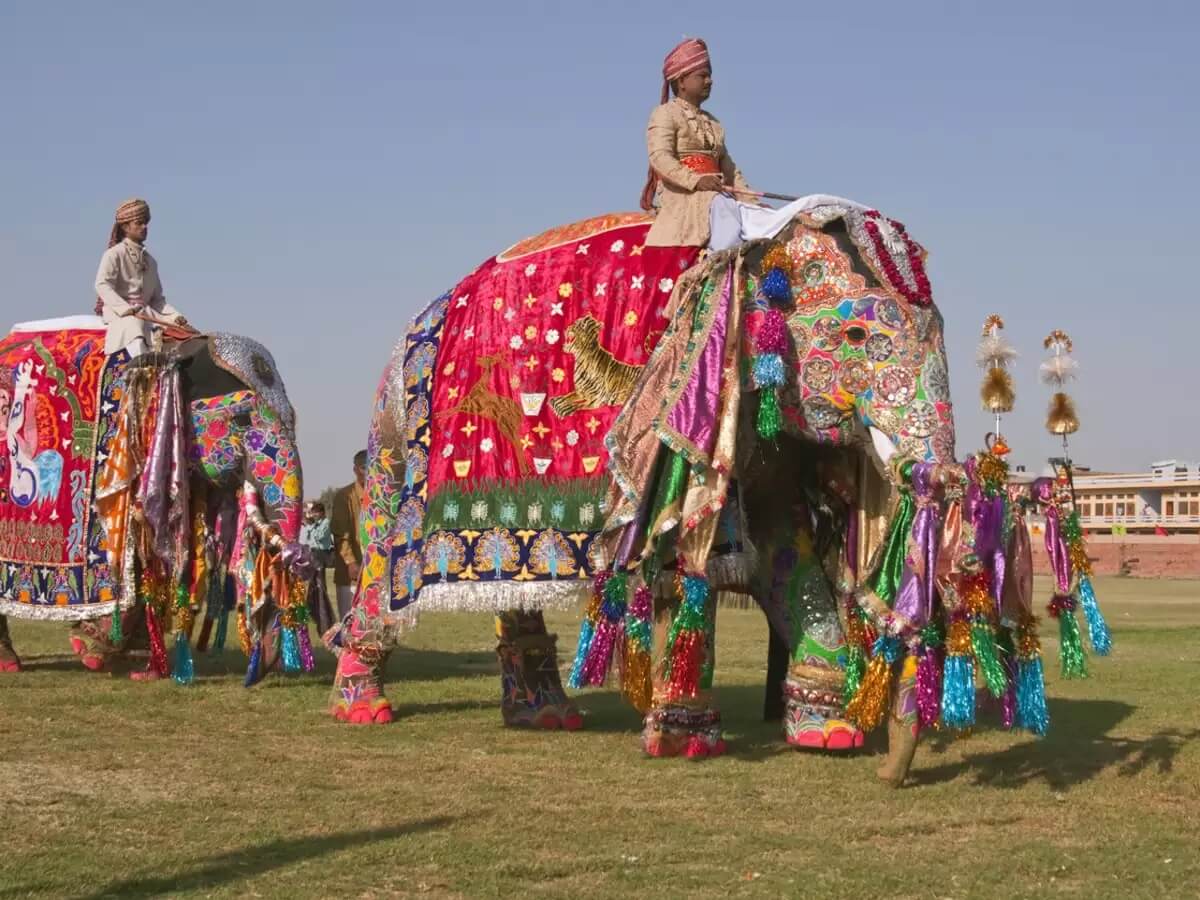 Elefantes de Jaipur rajastan