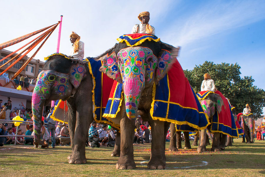 Festival de los Elefantes en Jaipur