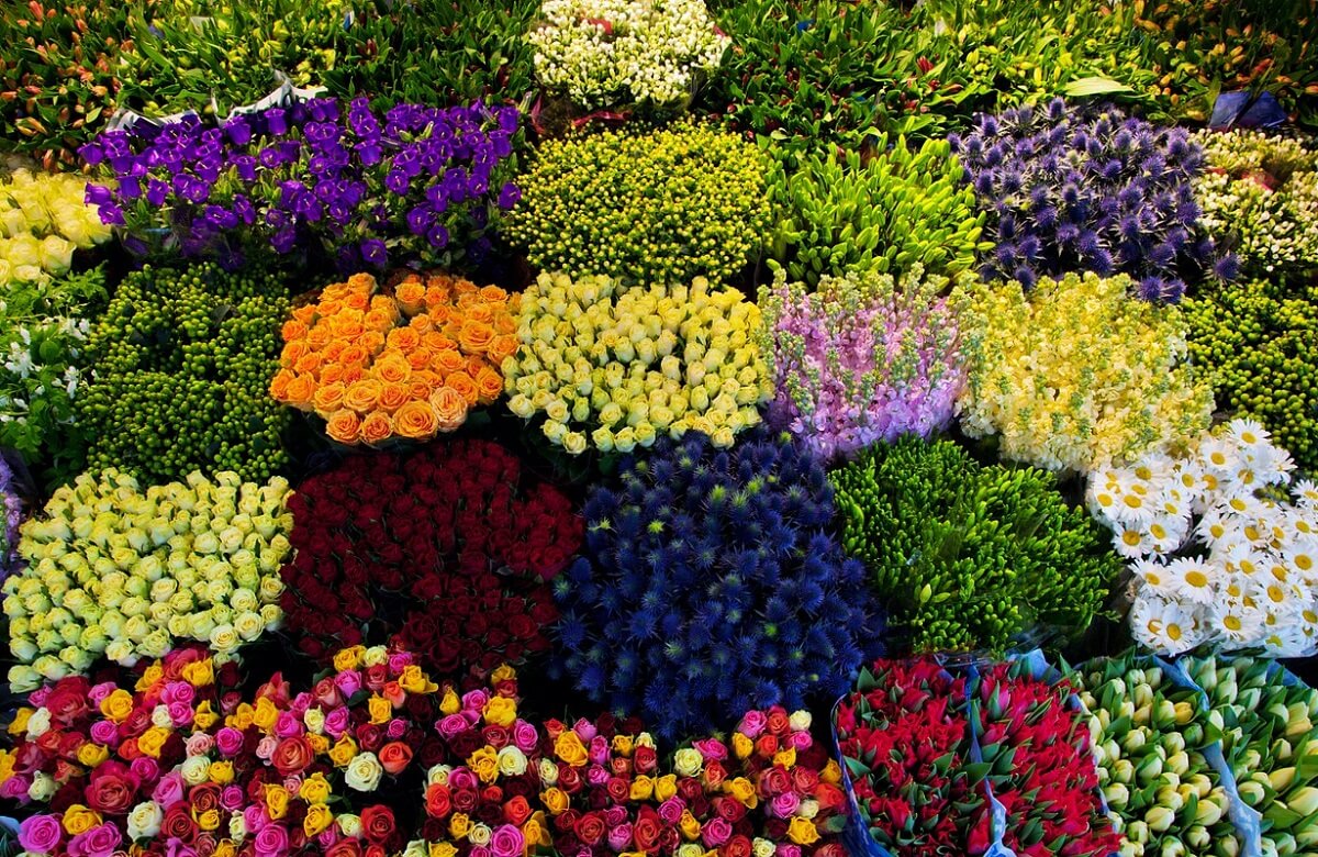 Mercado de flores de Dadar