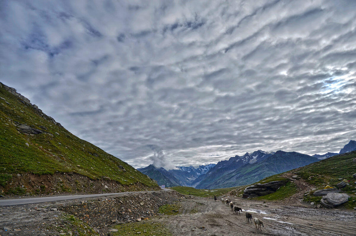 Rohtang Pass Manali Himachal