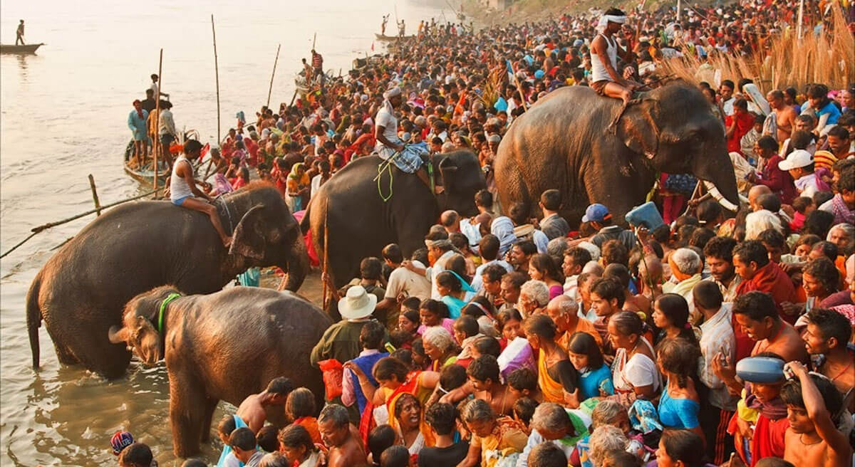 Sonepur Mela, Bihar