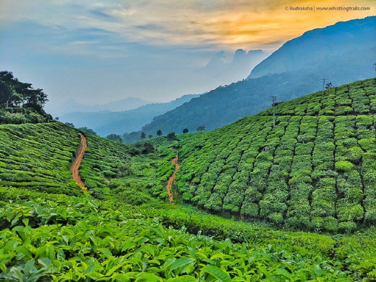 Munnar