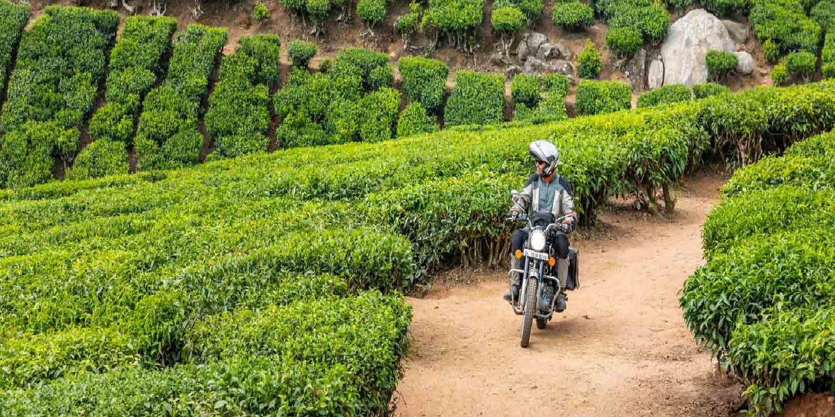 Consejos generales para viajar a Tamil Nadu en noviembre