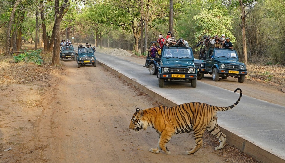 Ranthambore National Park – El reino del tigre de Bengala