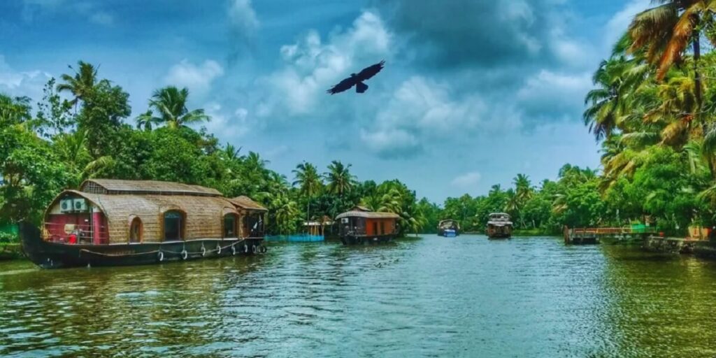 Los 12 mejores lugares para visitar en Kerala en agosto 2025