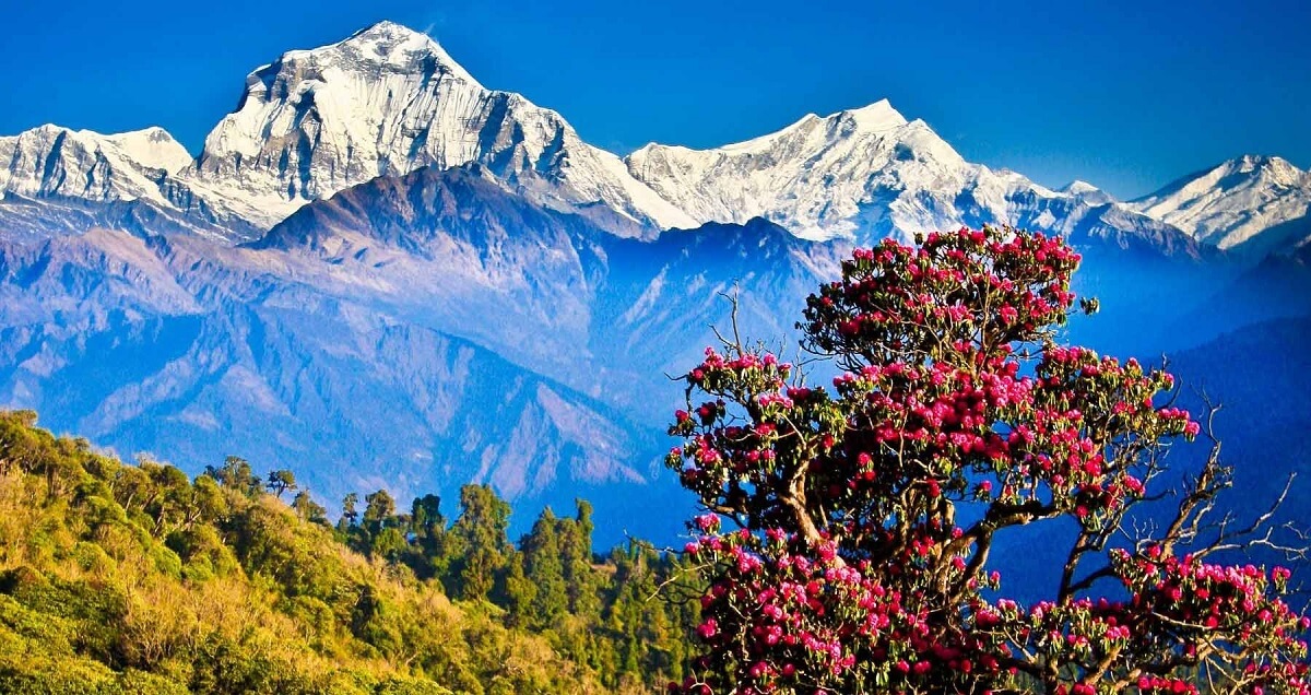 Consejos de viaje para Nepal en noviembre 2025