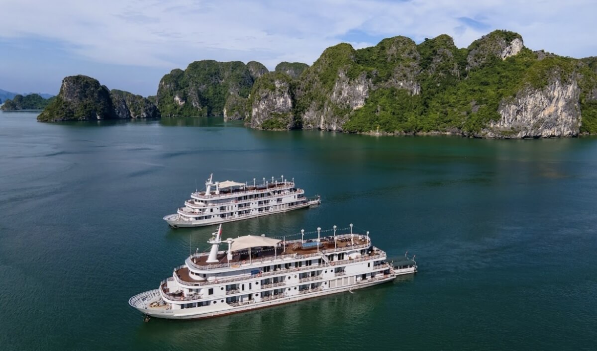 Hacer un crucero por la bahía: la experiencia imperdible