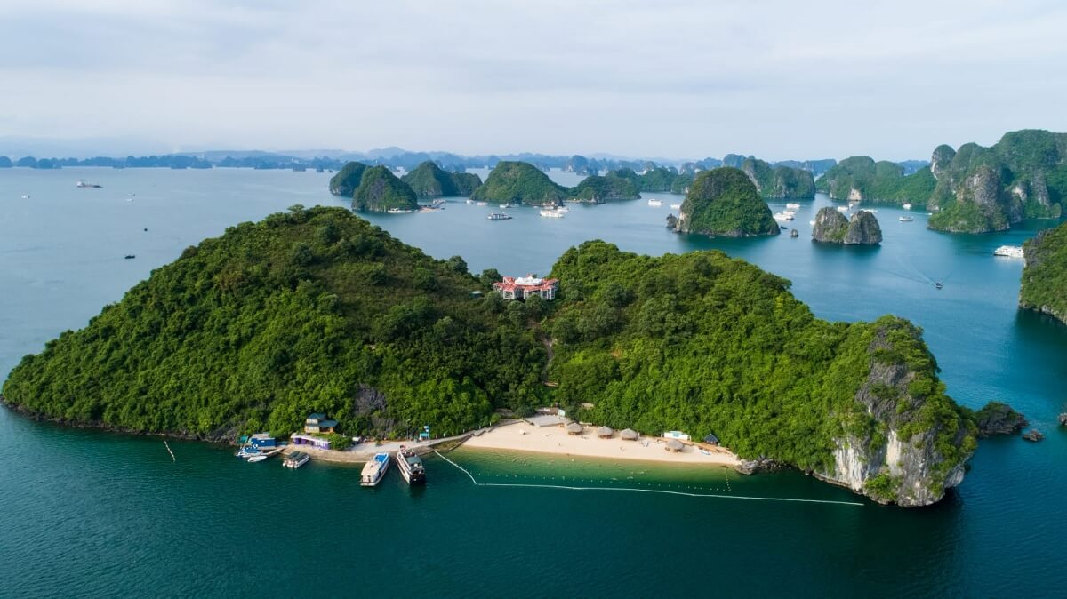 Explorar la isla de los monos (Monkey Island)