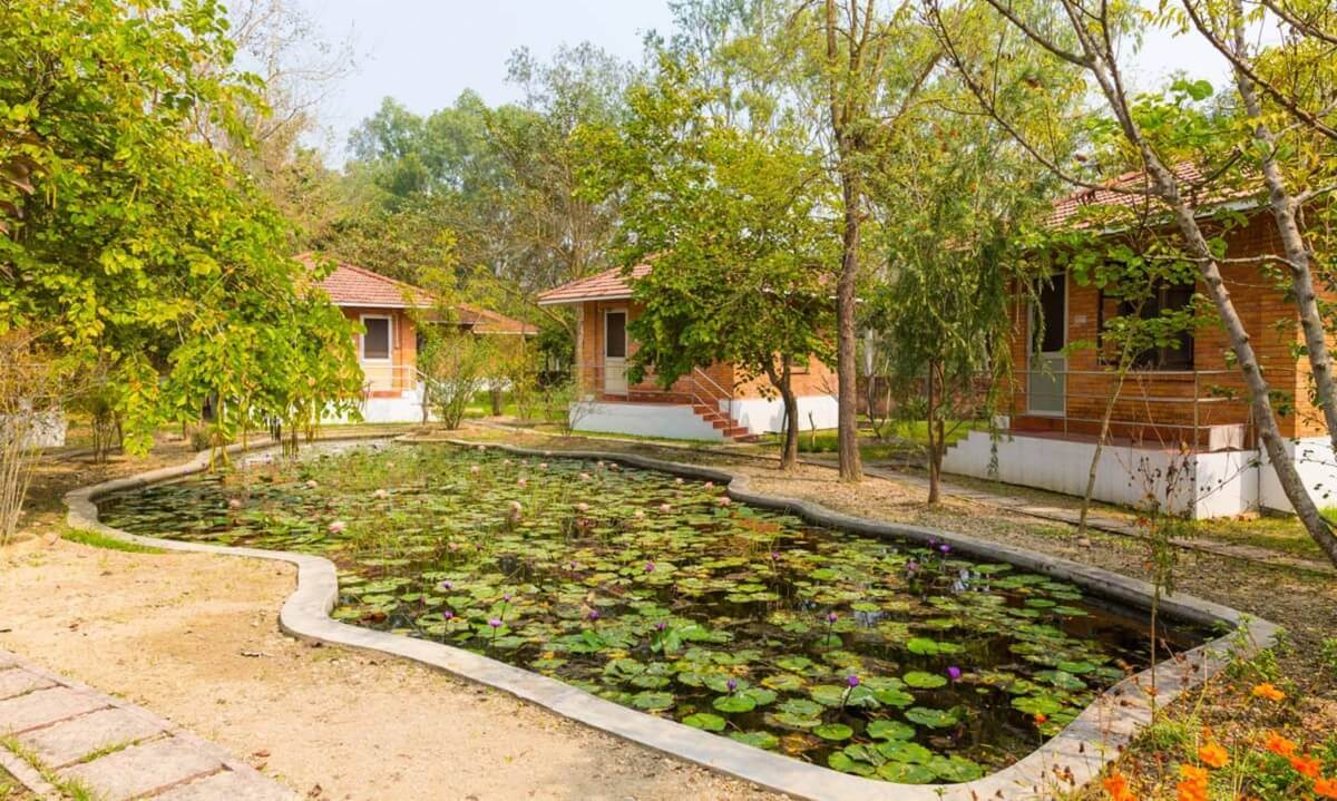 Meditar en el Centro de Meditación Panditarama