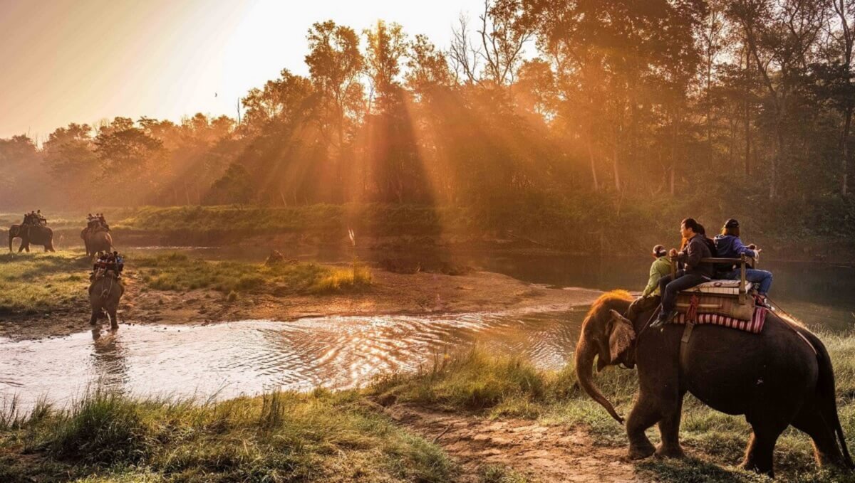 Historia y Significado del Parque Nacional de Chitwan