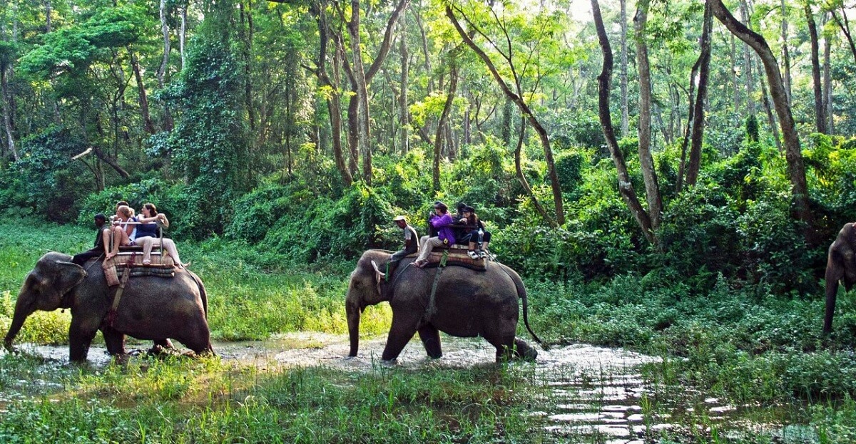 Safari en elefante (actualización 2025)
