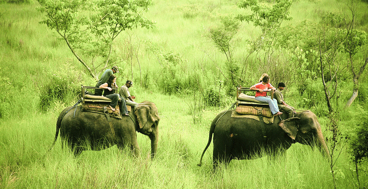 Actividades y experiencias inolvidables en Chitwan