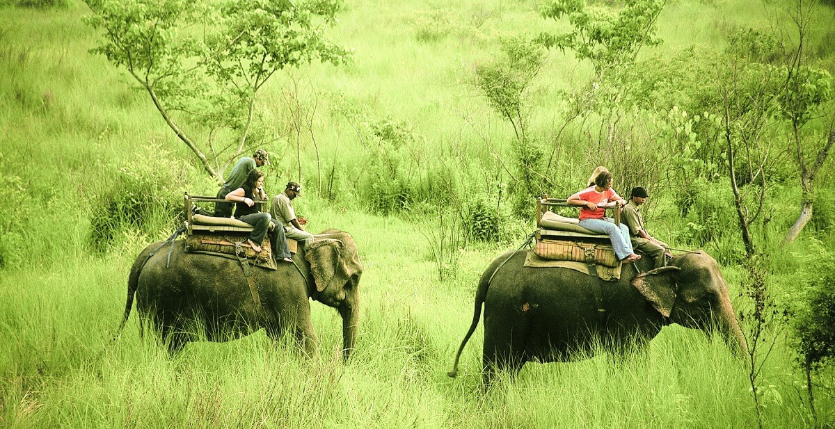 Parque Nacional de Chitwan: Aventura en la jungla