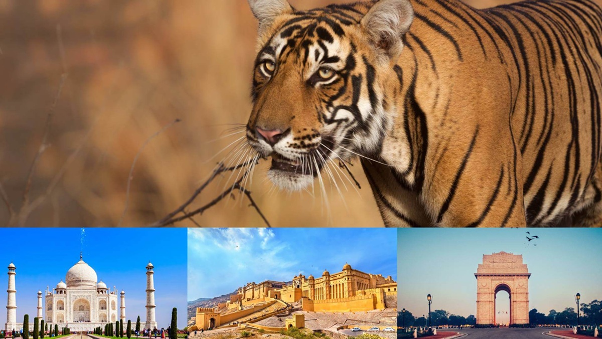 ¿Cuál es el mejor momento para visitar el Triángulo de Oro y Ranthambore?