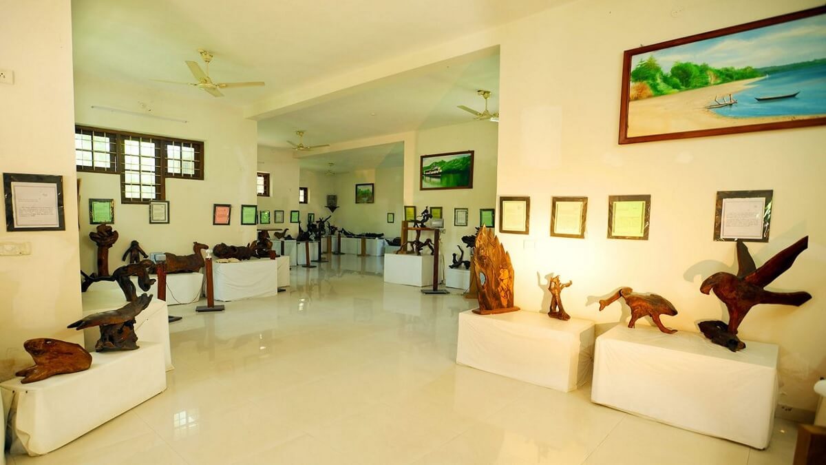 Museo de Bay Island Driftwood