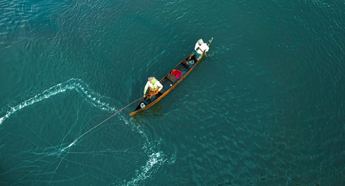 Kumarakom: lujo, naturaleza y observación de aves