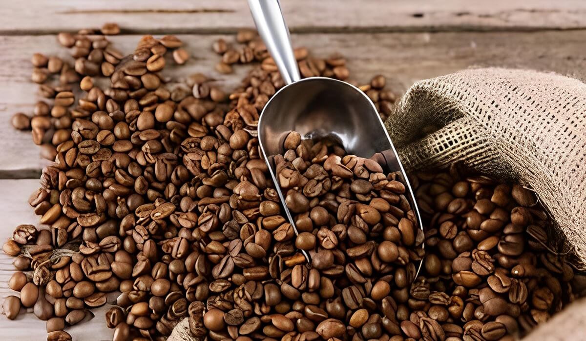 Café Arábica de Wayanad