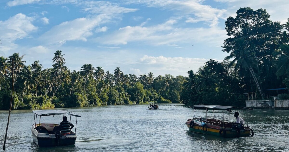 Poovar: romance en una isla secreta entre río, mar y manglares