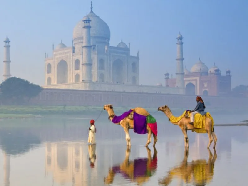 16 cosas imprescindibles que hacer en el norte de la India