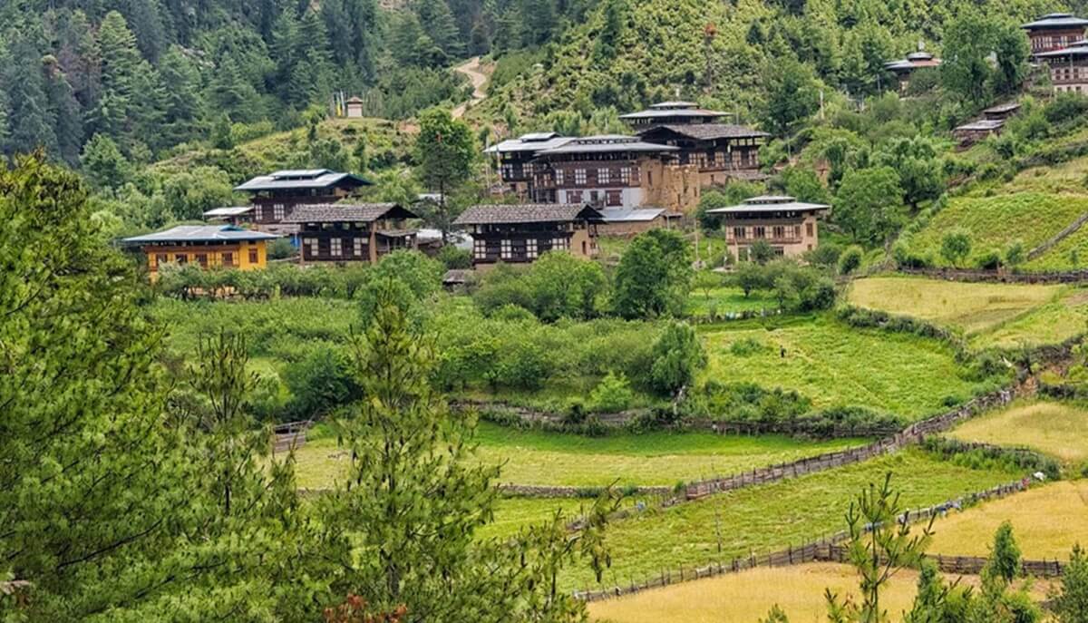 Babesa Village Restaurant (Thimphu)