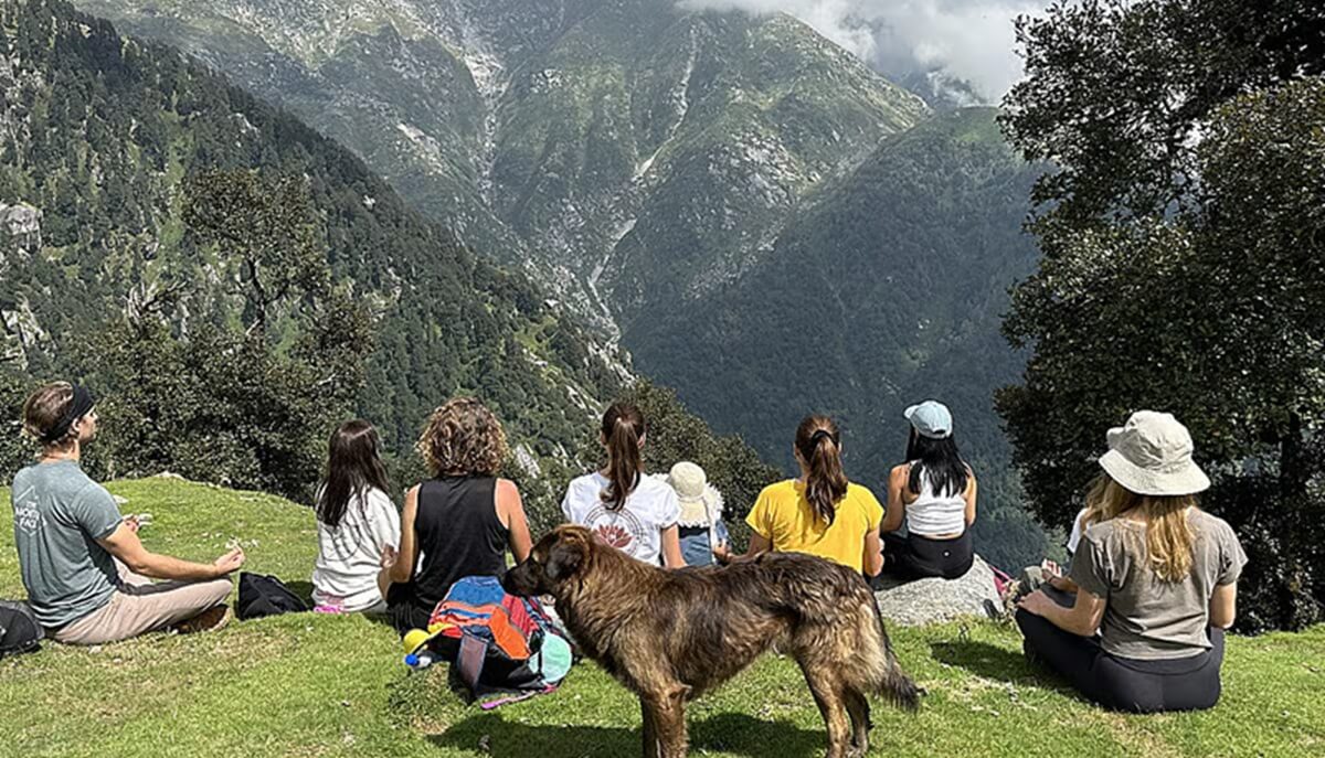 Detox Natural Retreat – Kullu / Rishi Bhumi