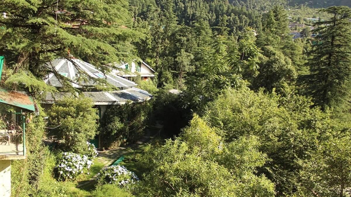 Himalayan Iyengar Yoga Centre – Dharamkot / Dharamshala