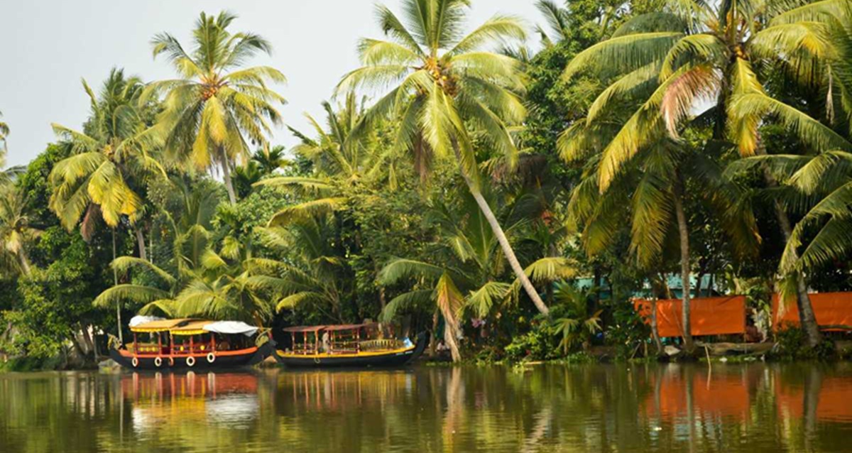 Paseo en barco por los Backwaters