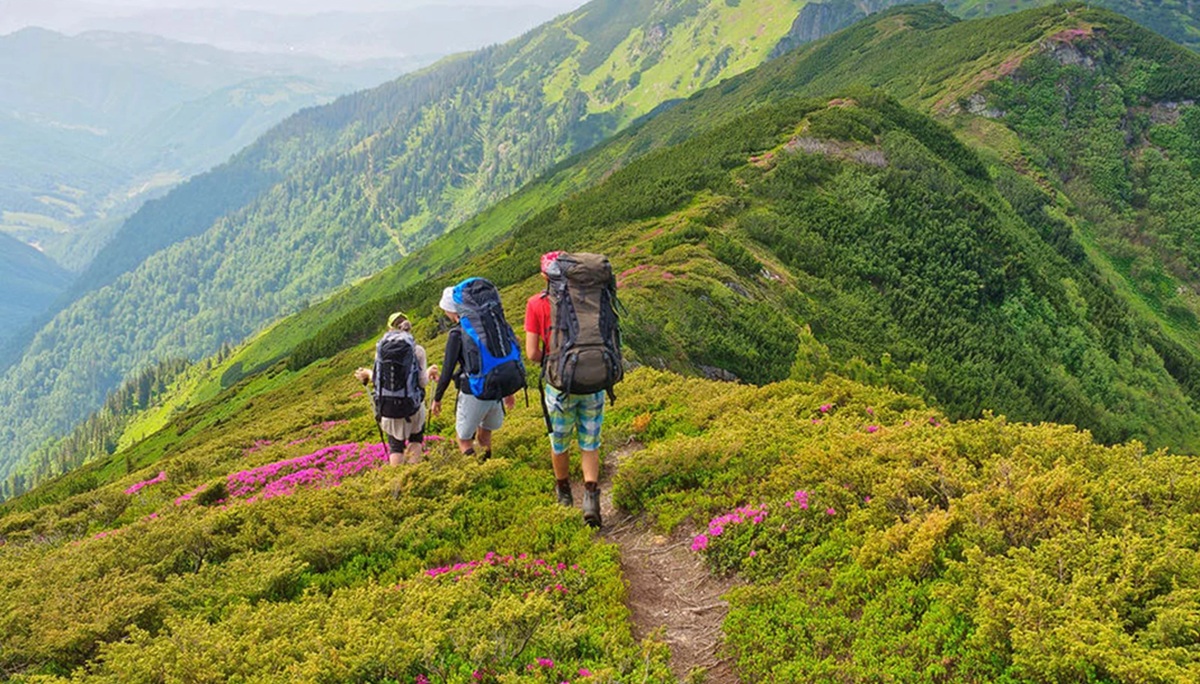 Kerala- Kozhikode Vellari Mala Hills