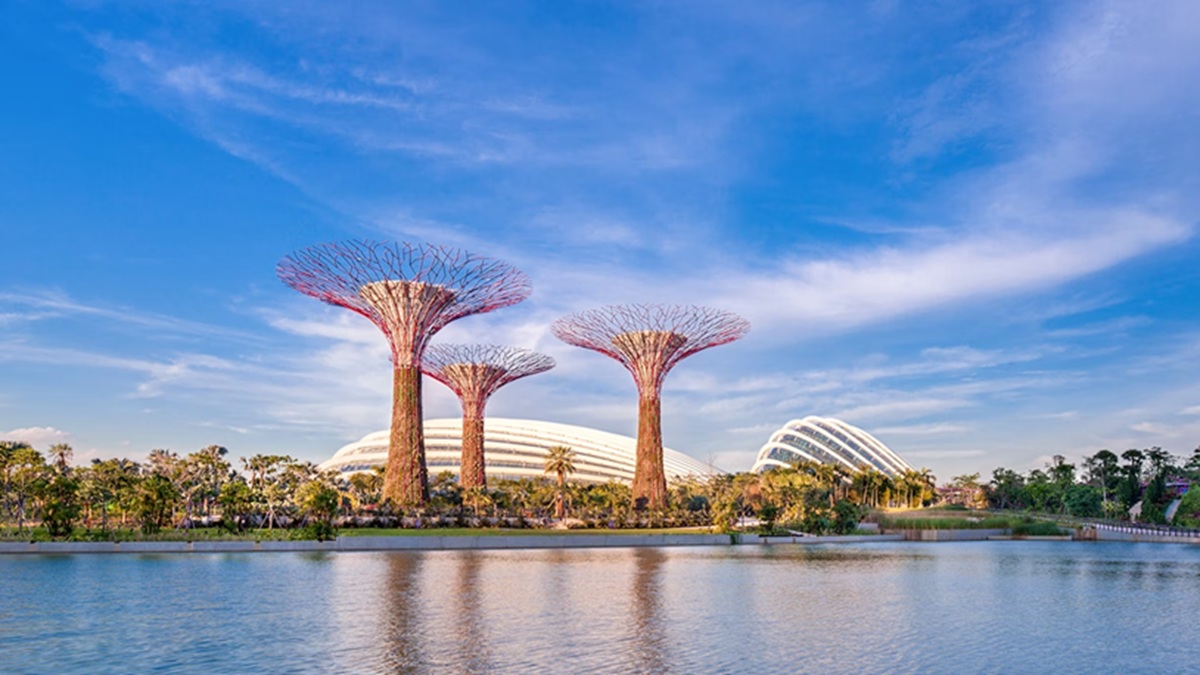 Gardens by the Bay y sus Supertrees iluminados