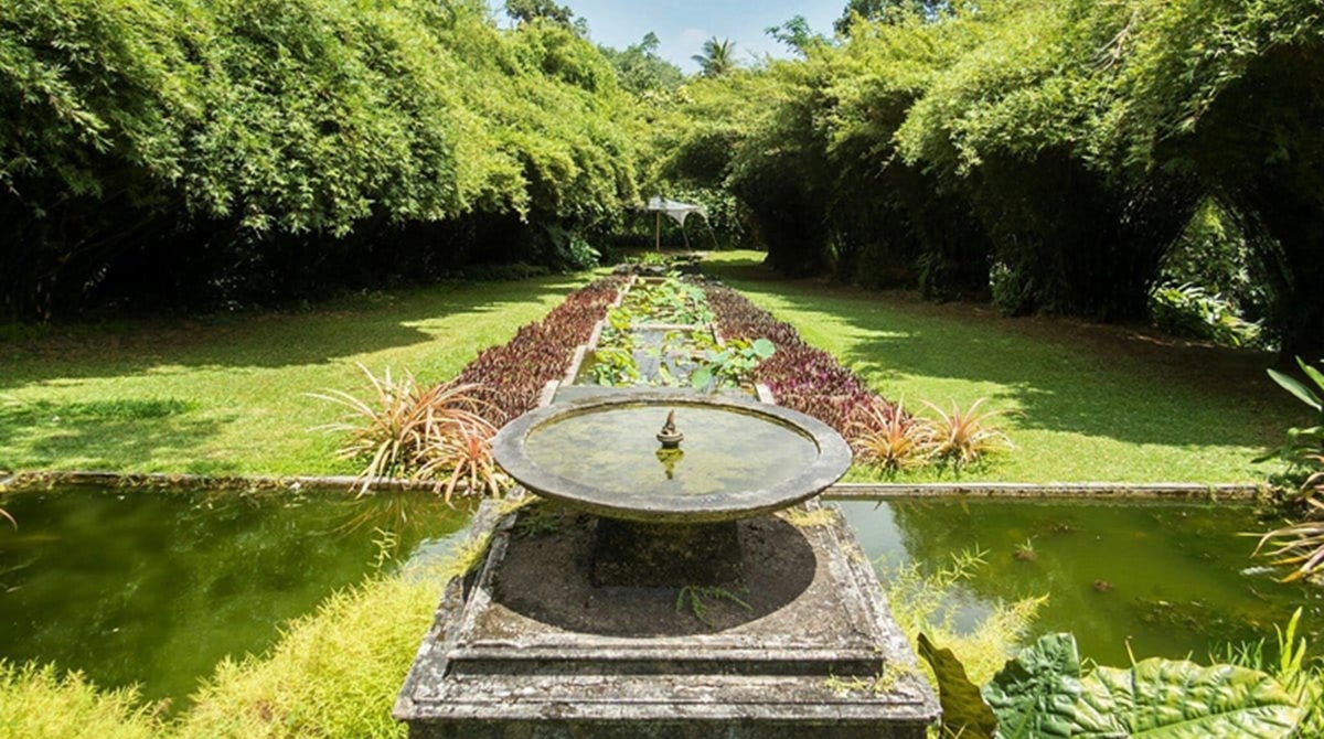 Brief Garden by Bevis Bawa