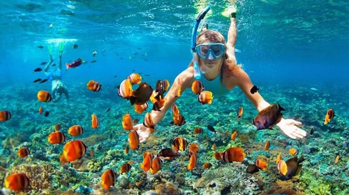 Practicar snorkel en el Santuario de Coral