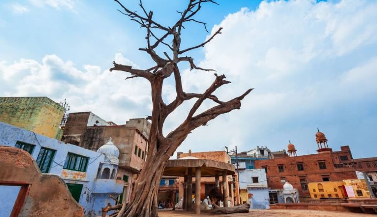 Cómo llegar desde Agra a Mathura y Vrindavan