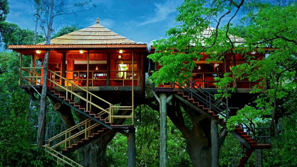 Los 13 mejores resorts de casas en los árboles de Kerala