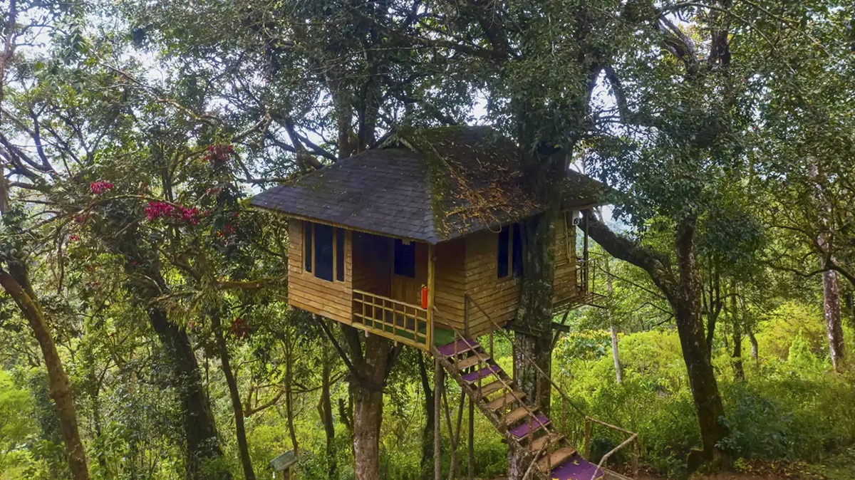 ¿Por qué elegir una casa en el árbol en Kerala?