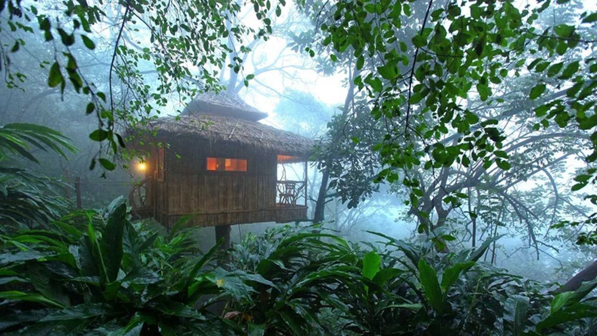 Consejos prácticos para hospedarte en casas en los árboles en Kerala