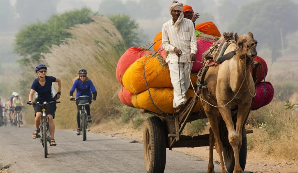 Las 7 mejores rutas de ciclismo de carretera en Rajastán