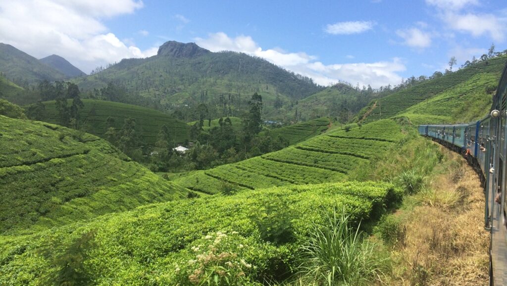 Las 14 mejores cosas que hacer en Nuwara Eliya: guía de viaje completa