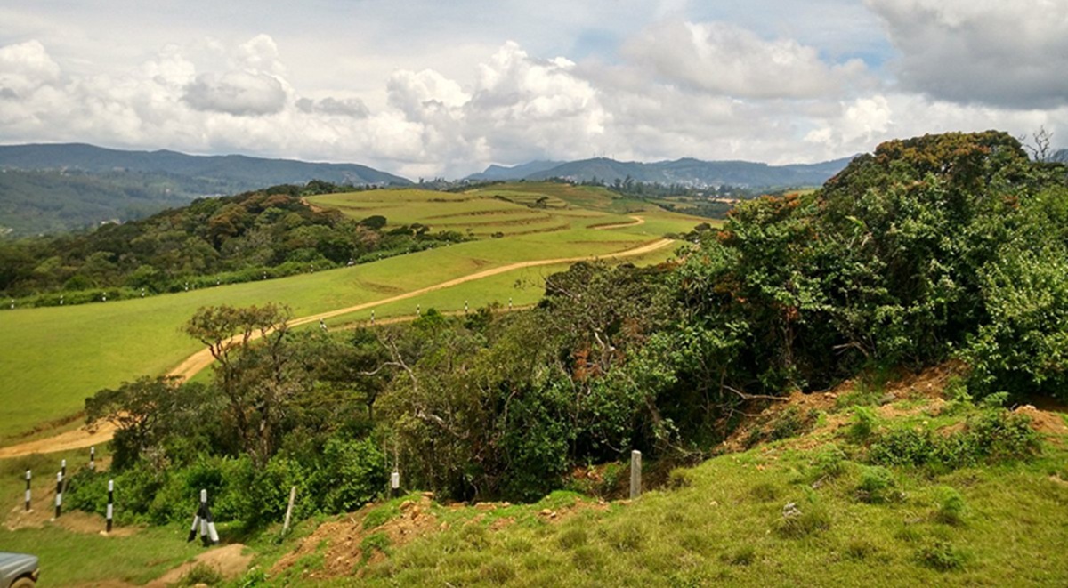 Contempla el paisaje en Moon Plains