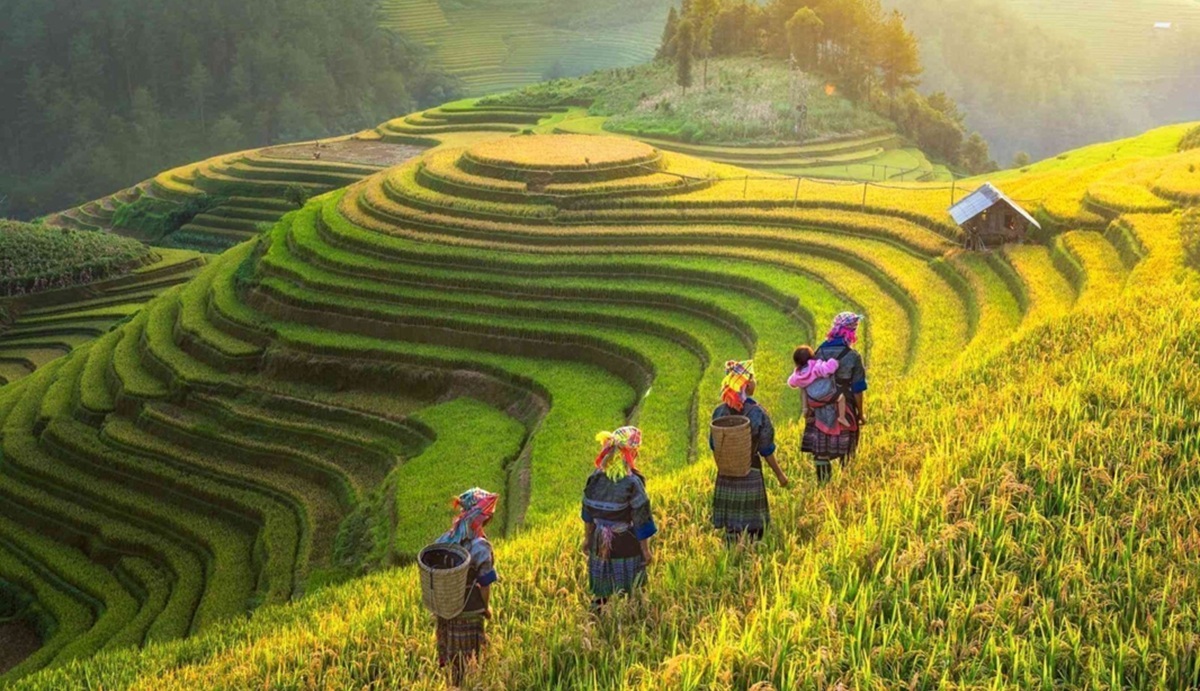 Trekking a las aldeas étnicas: Lao Chai, Ta Van y Y Linh Ho